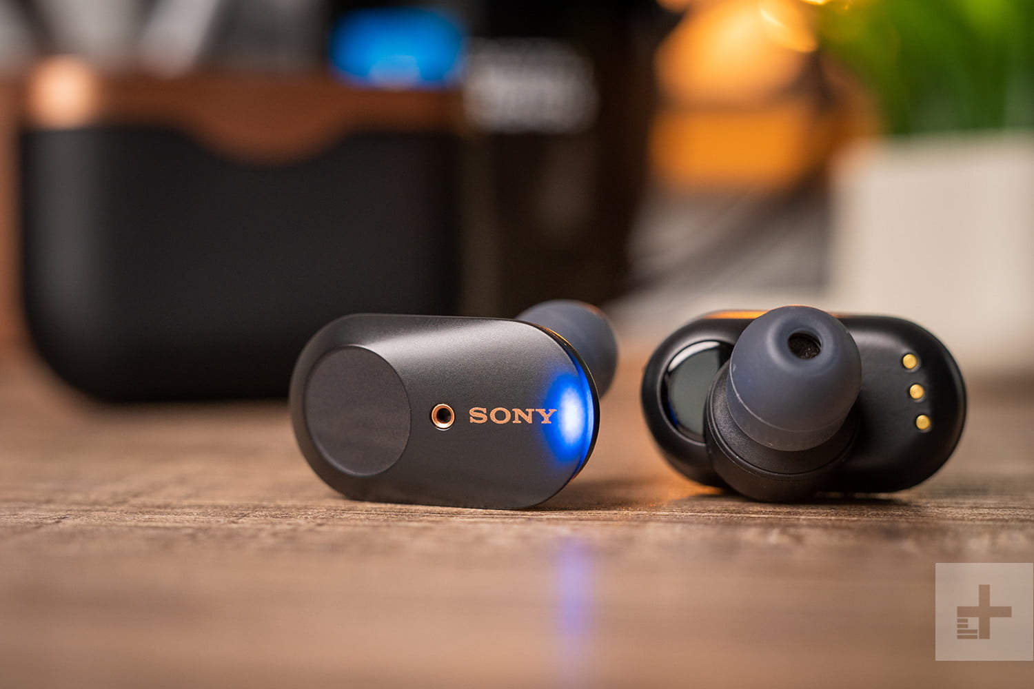 Sony WF-1000XM3